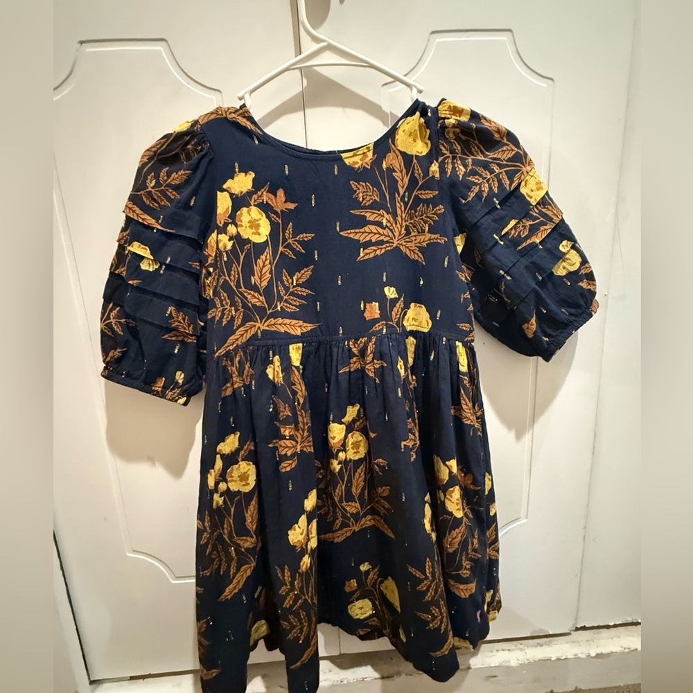 Pink Chicken Blue and Yellow Floral Dress size 8Y